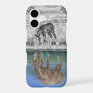 Foal Water Reflection of Horse