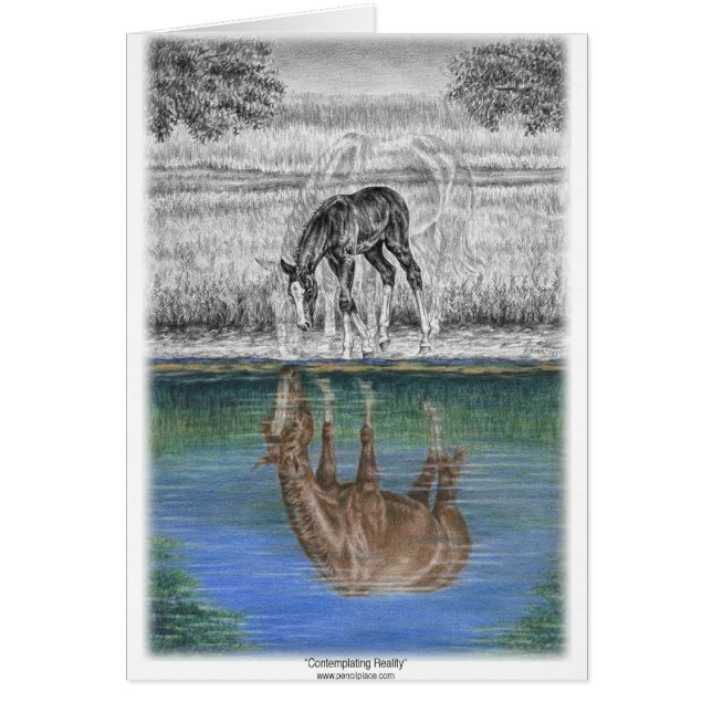 Foal Water Reflection of Horse (Front)