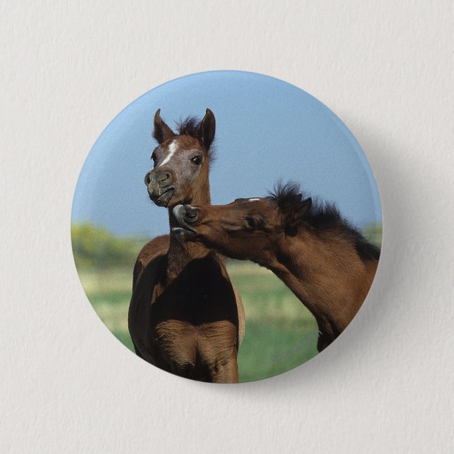 Foals Playing 2 2 Inch Round Button (Front)