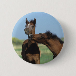 Foals Playing 2 Inch Round Button