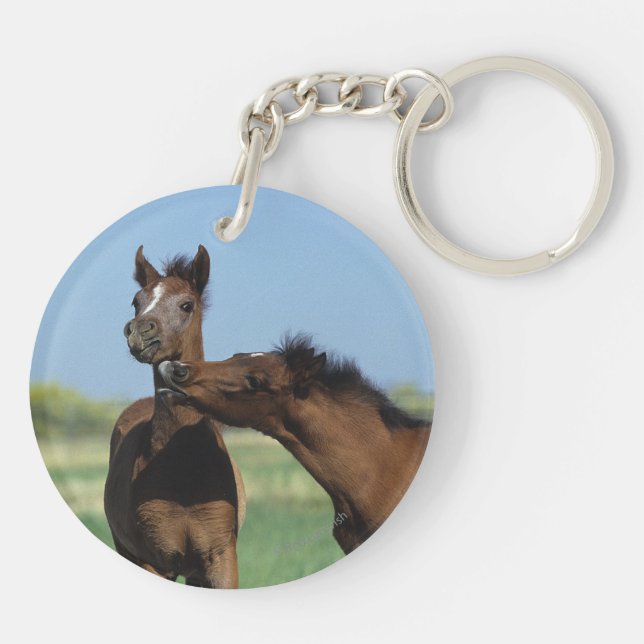 Foals Playing 2 Keychain (Back)