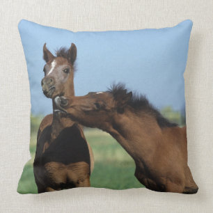 Foals Playing 2 Throw Pillow