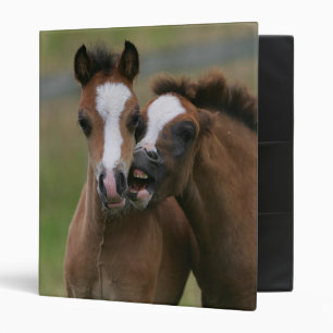 Foals Playing Binder
