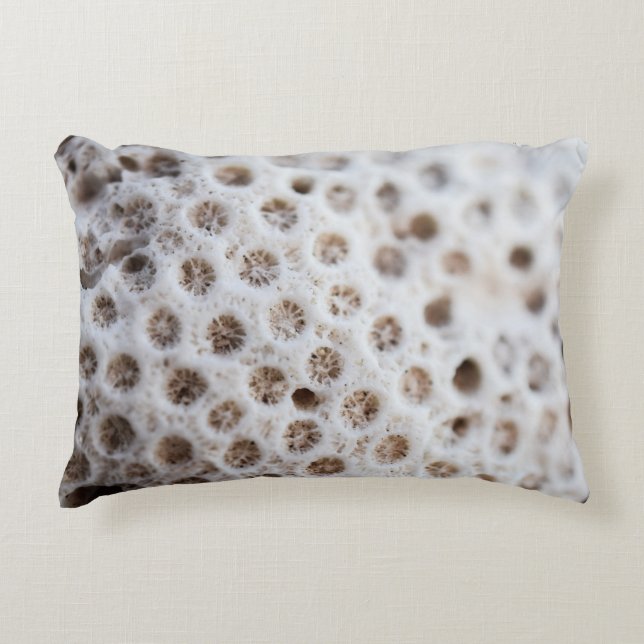 Foam Accent Pillow (Front)