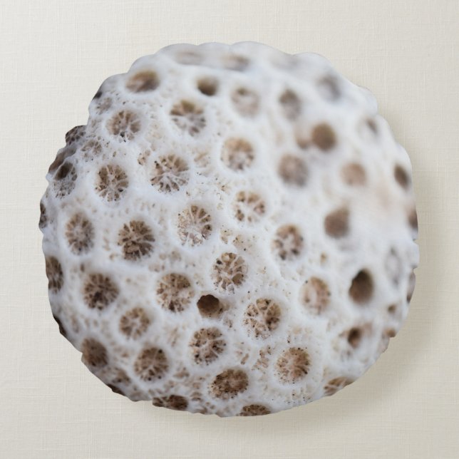 Foam Round Pillow (Front)