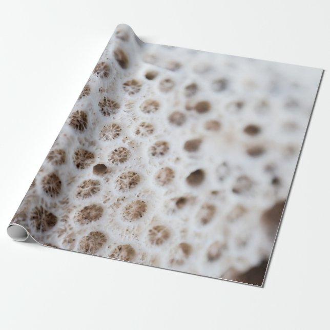 Foam Wrapping Paper (Unrolled)
