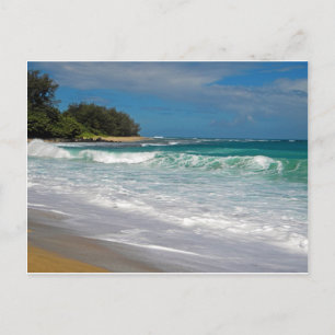 Foamy Surf Postcard