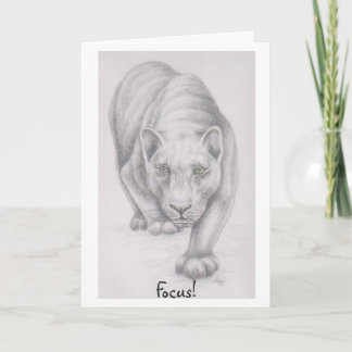 Focus ! carte de voeux