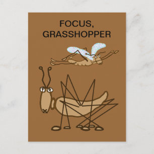 FOCUS GRASSHOPPER POSTCARD
