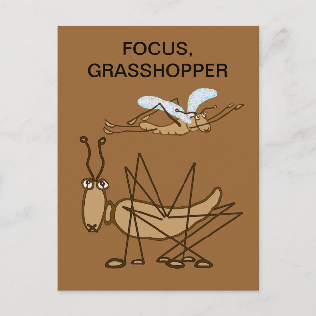 FOCUS GRASSHOPPER POSTCARD (Front)