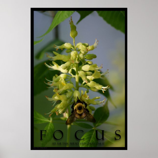 Focus Inspiration Message Poster Art Photo Print (Devant)