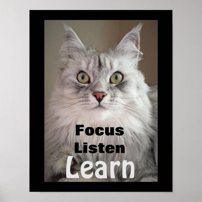 Focus. Listen. Learn. Classroom Poster (Front)