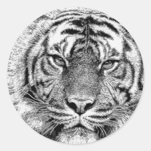 Focus_Sticker Classic Round Sticker