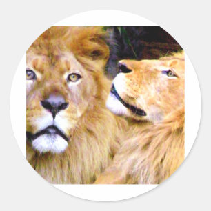 Focused & Strength_ Classic Round Sticker