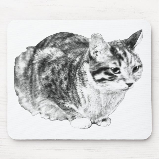 Focused Tabby, Velvet Desk Tones Mouse Pad (Front)