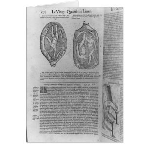 Foetus, illustration from 'Oeuvres'