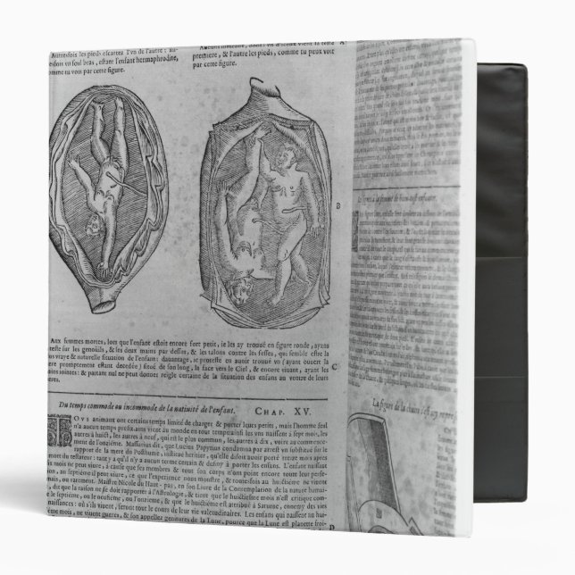 Foetus, illustration from 'Oeuvres' Binder (Front/Inside)