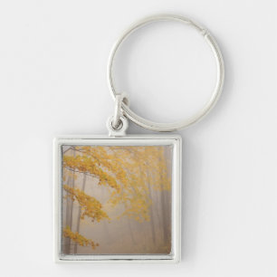 Fog and Autumn foliage, Great Smoky Mountains Keychain