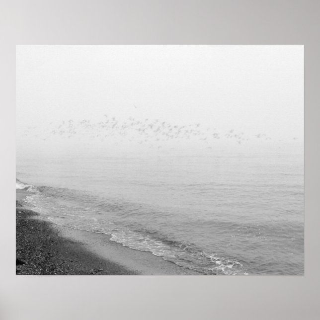 Fog and rain setting in along the shoreline poster (Front)