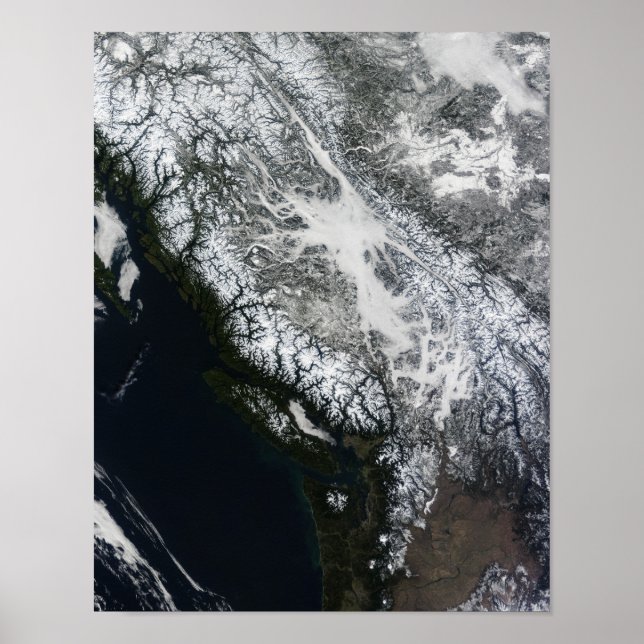 Fog and snow in British Columbia Poster (Front)
