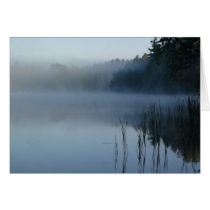 fog at bear paw