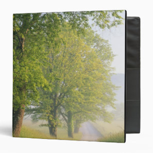 Fog covered road, Cades Cove, Great Smoky Binder