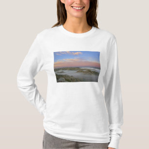 Fog from the Little Missouri River hangs in the T-Shirt
