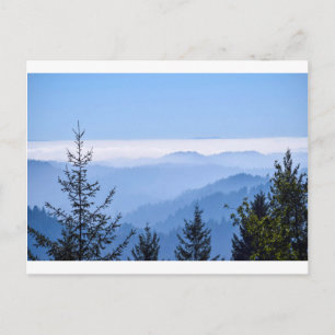 Fog Lifting Postcard