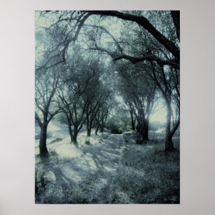 Fog of Dawn Poster