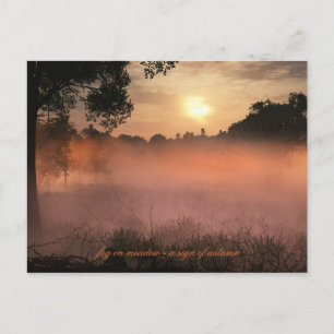 fog on meadow postcard