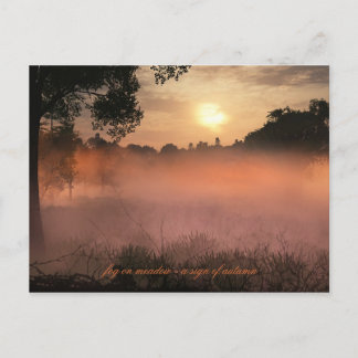 fog on meadow postcard
