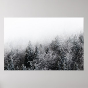 Fog over frozen forest poster