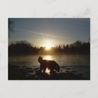 Fog over Mississippi River Postcard