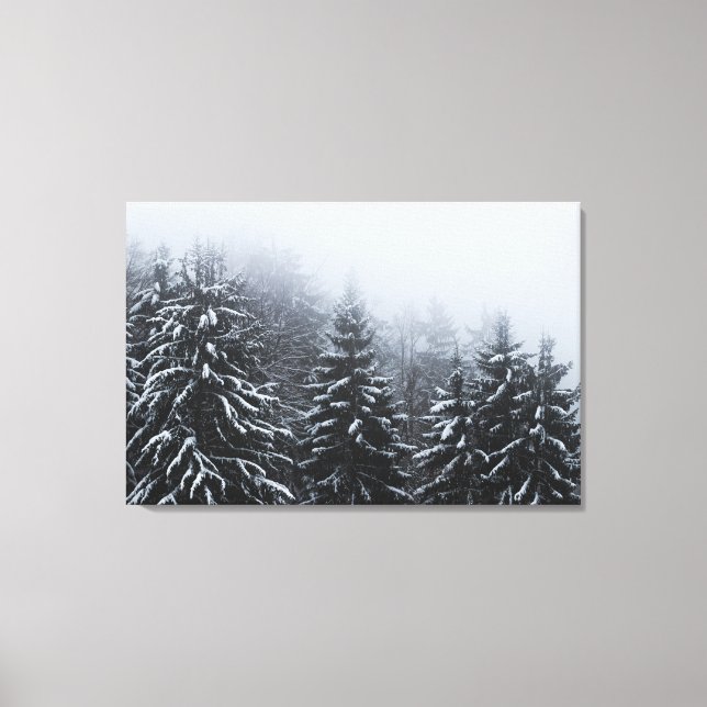 Fog over snow covered spruce forest in winter  canvas print (Front)