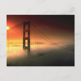 Fog Shrouded Golden Gate Postcard