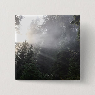 Fog & Sun Beams in a Washington Forest 2 Inch Square Button