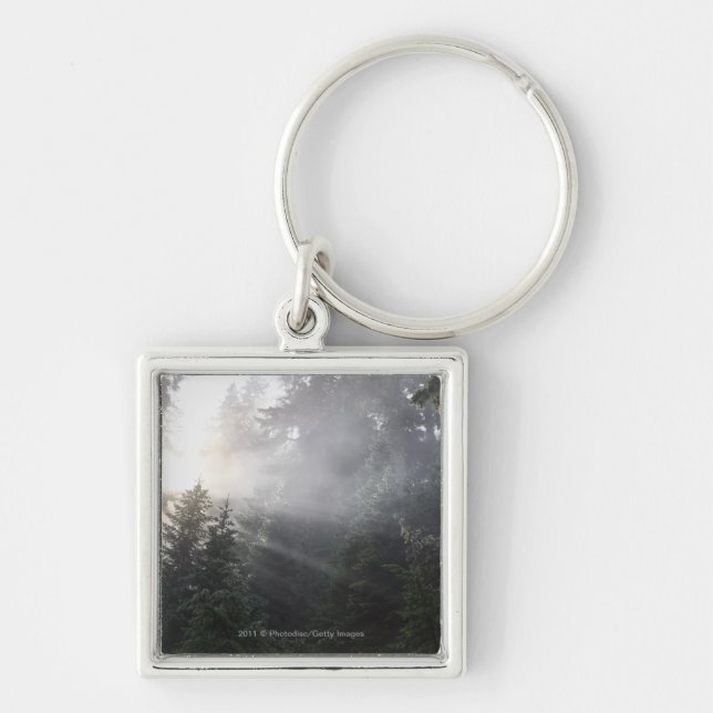 Fog & Sun Beams in a Washington Forest Keychain (Front)