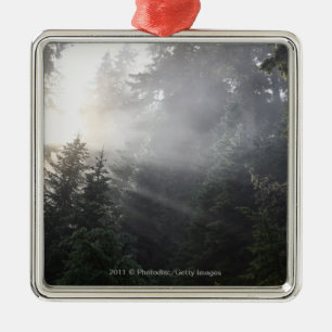 Fog & Sun Beams in a Washington Forest Metal Ornament