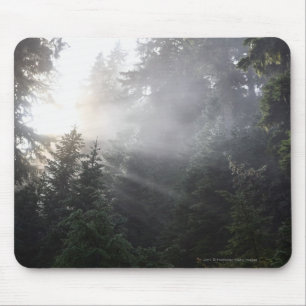 Fog & Sun Beams in a Washington Forest Mouse Pad