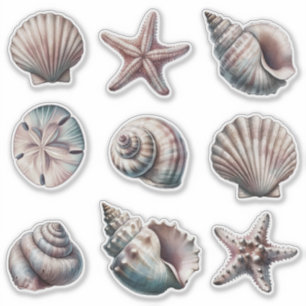 Fog Various Sea Shell Stickers - set of 9