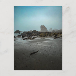 Foggy Beach with Sea Stacks Postcard