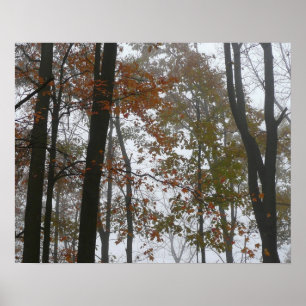 Foggy Fall in Pennsylvania Autumn Nature Poster