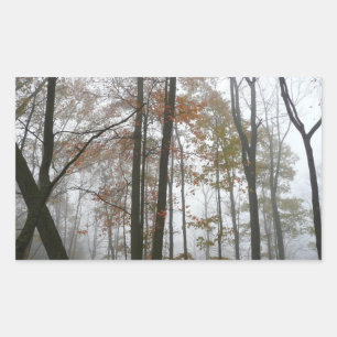 Foggy Fall in Pennsylvania Autumn Nature Sticker