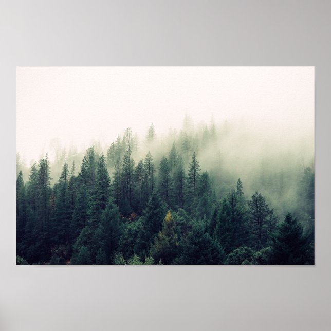 Foggy Forest Poster (Front)