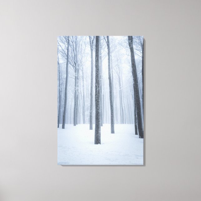 Foggy frozen winter forest canvas print (Front)