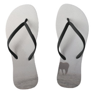 Foggy Grazing Flip Flops