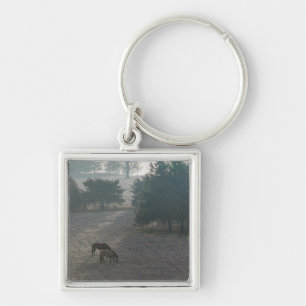 Foggy Grazing Keychain