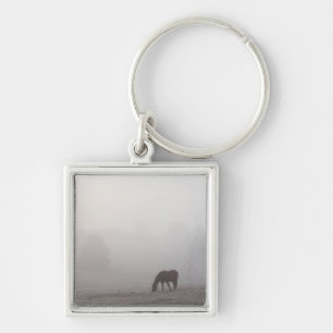 Foggy Grazing Keychain
