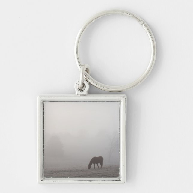 Foggy Grazing Keychain (Front)