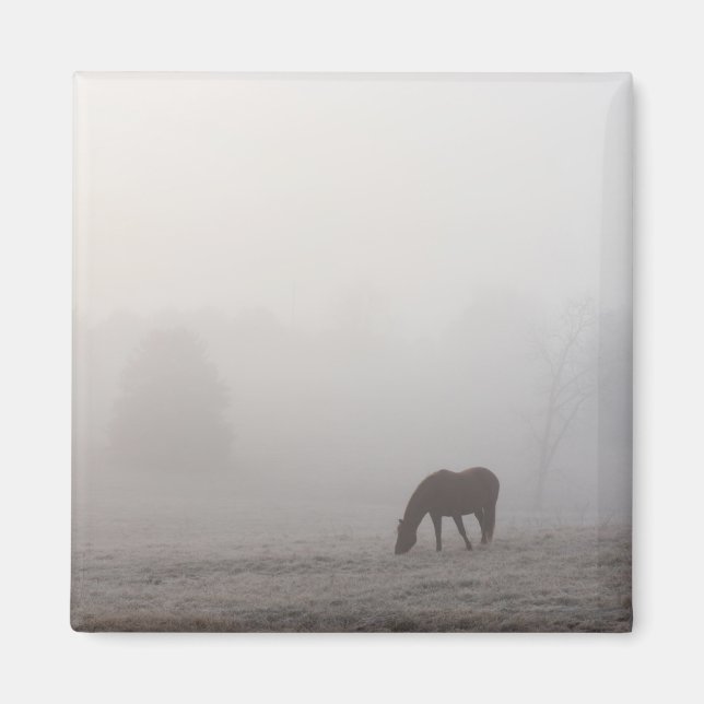 Foggy Grazing Magnet (Front)